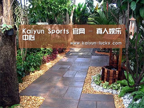 产品展示标题四(图1)