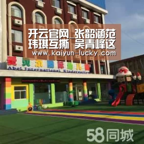 开云真人