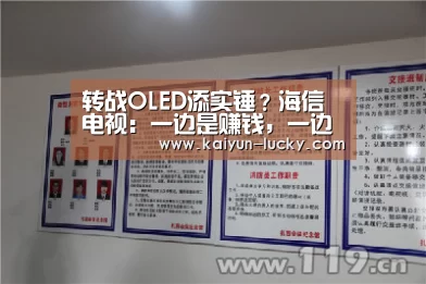 转战OLED添实锤?海信电视:一边是赚钱,一边是烦恼:开云平台(图2) 开云娱乐
