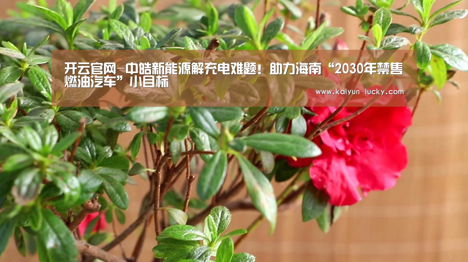 开云平台