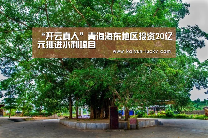 开云平台