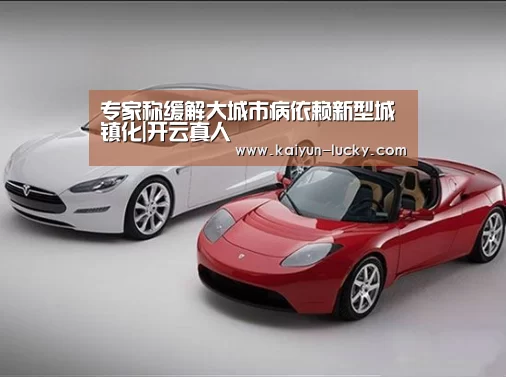 专家称缓解大城市病依赖新型城镇化|开云真人(图2) 开云平台