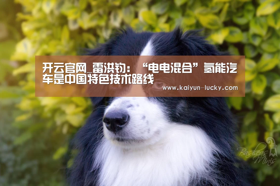 开云平台