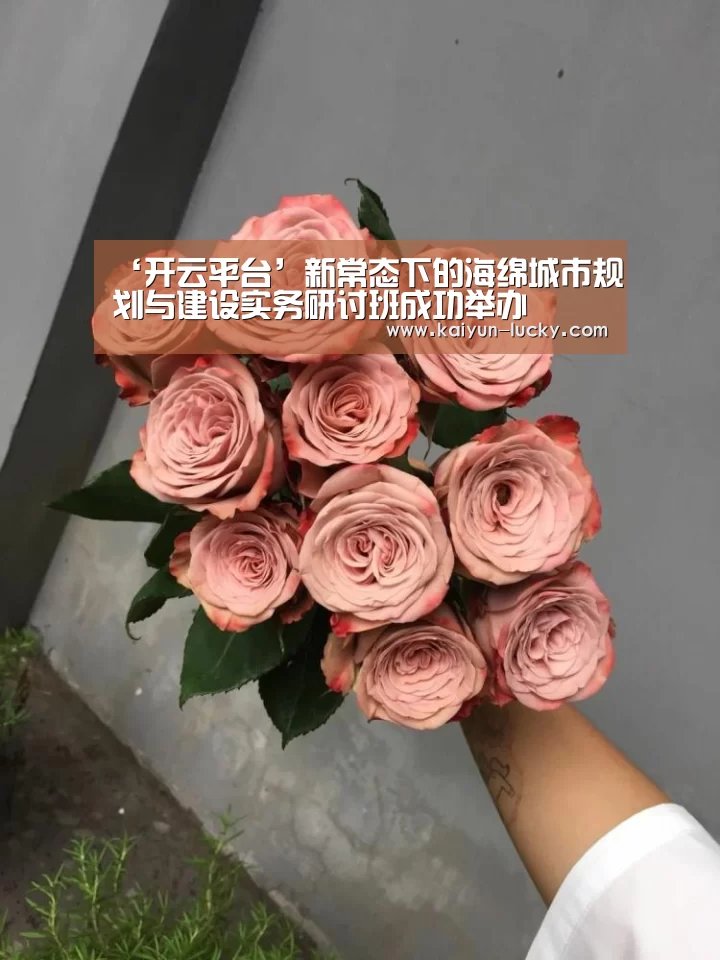 开云娱乐