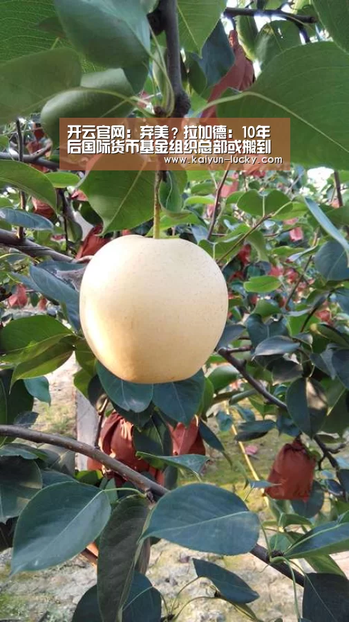 开云官网:弃美?拉加德:10年后国际货币基金组织总部或搬到北京(图2) 开云真人
