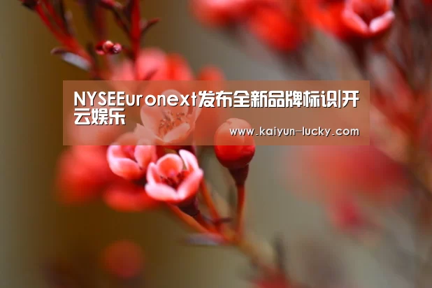 NYSEEuronext发布全新品牌标识|开云娱乐(图1) 开云官网